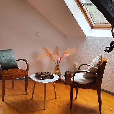 Loft Gaia Lägenhet Brunstatt-Didenheim Exteriör bild
