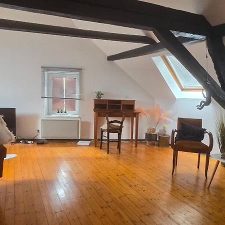 Loft Gaia Lägenhet Brunstatt-Didenheim Exteriör bild